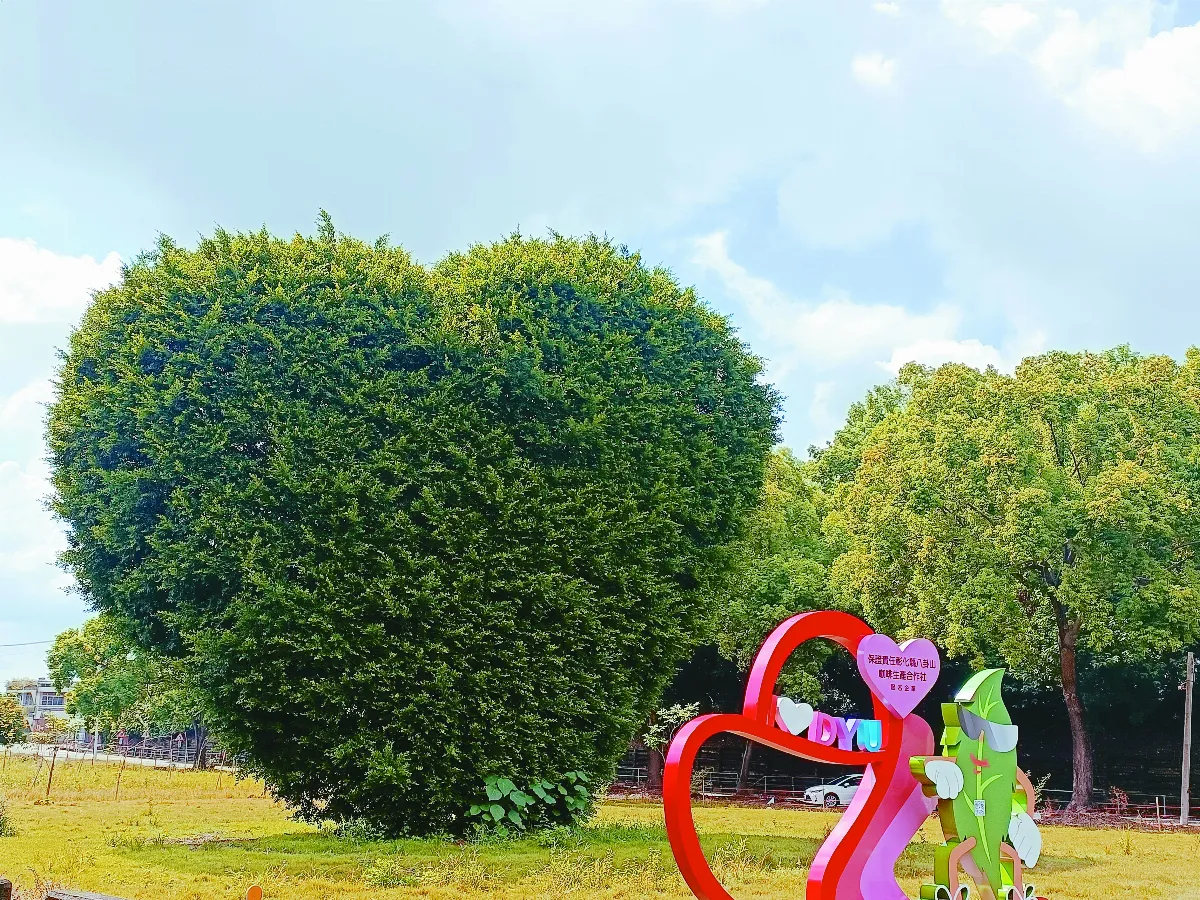 【視覺DJ】 種一棵愛心樹