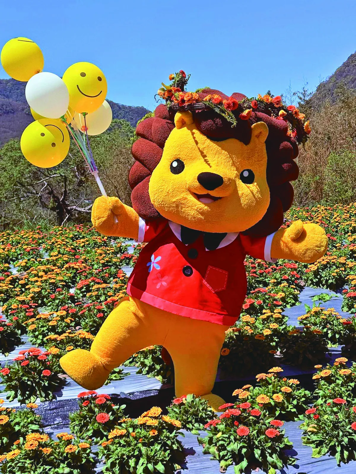 金盞花季 皮皮獅伴遊