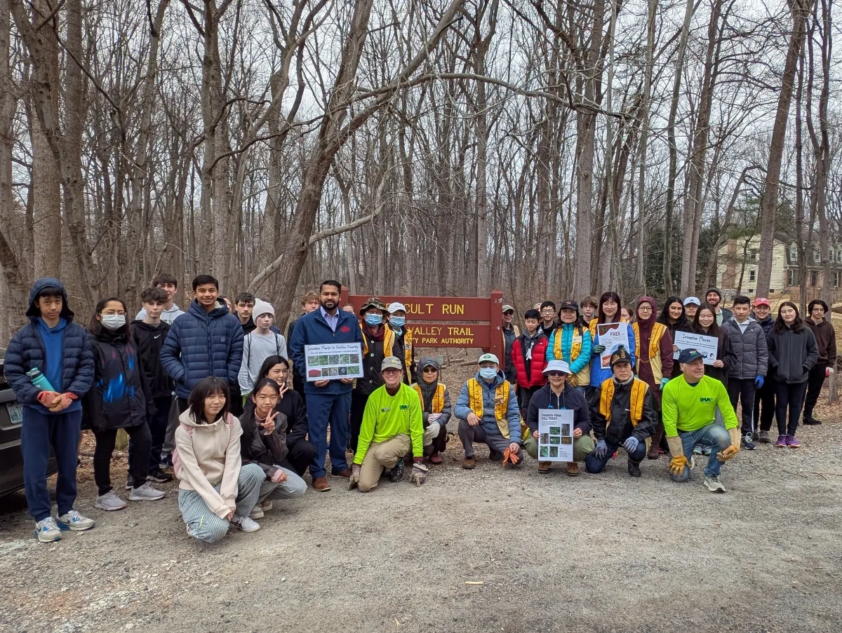Restoring Nature: BLIA Washington D.C. Chapter Members Join Habitat Restoration Effort to Combat Invasive Vines