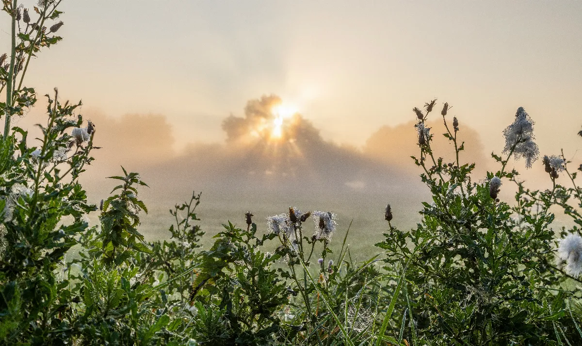 發掘社會正能量 「社會光明面新聞報導獎」開放報名