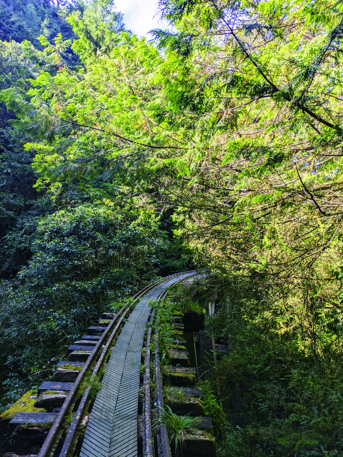 【印象旅人】夜宿眠月線星空下
