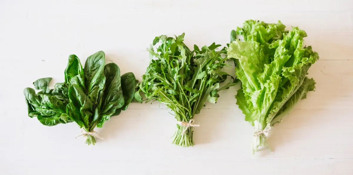 綠色蔬菜極營養 可降低疾病風險