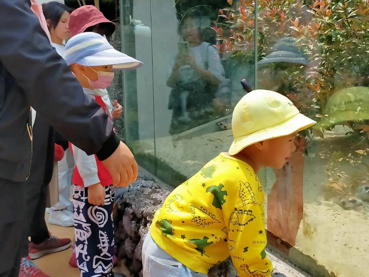 兒童免費入園 壽山動物園親子同遊歡樂不斷！