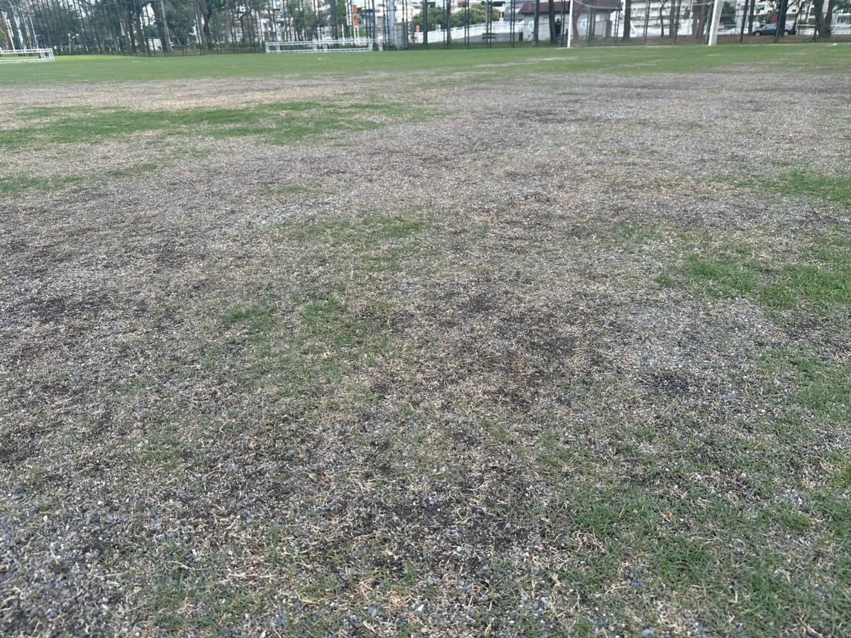 足球／紐西蘭友誼賽因場地爛取消 工會沉重聲明