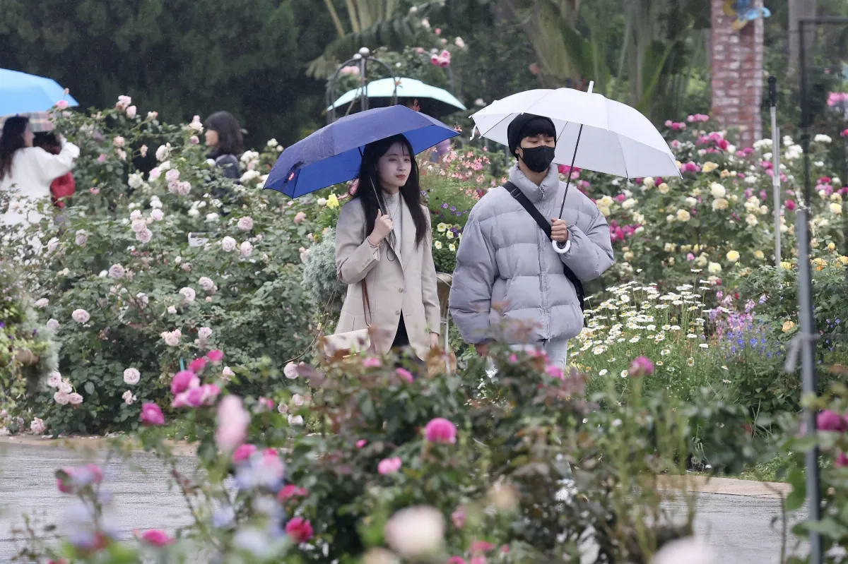 氣溫回升上看30度 周四周六2波鋒面大雨襲