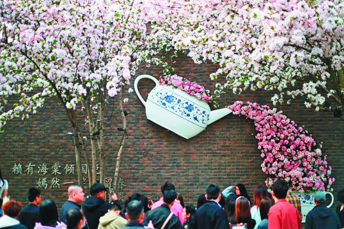 天津野山楂 開花