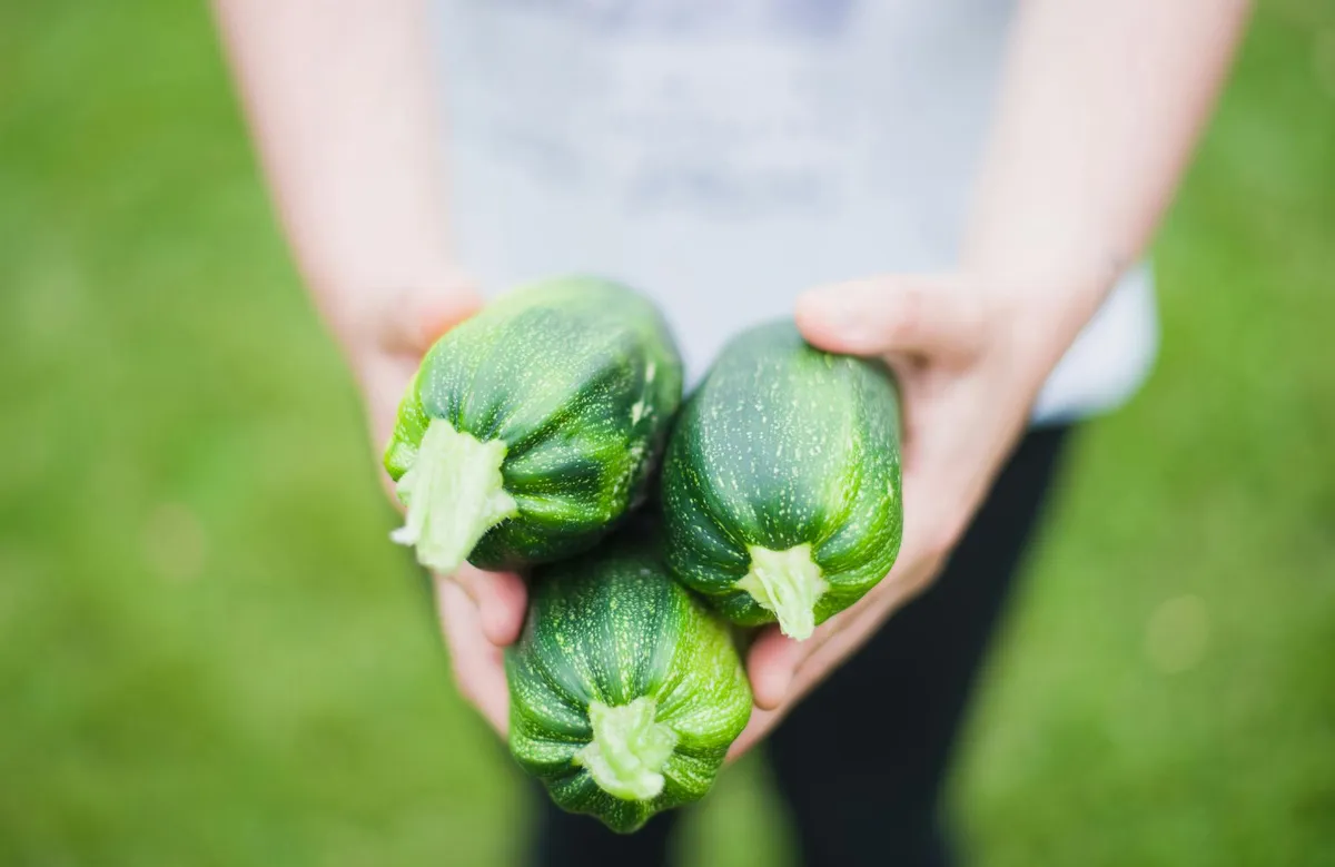 養齡飲食延緩老化 醫：植物性占95%以上