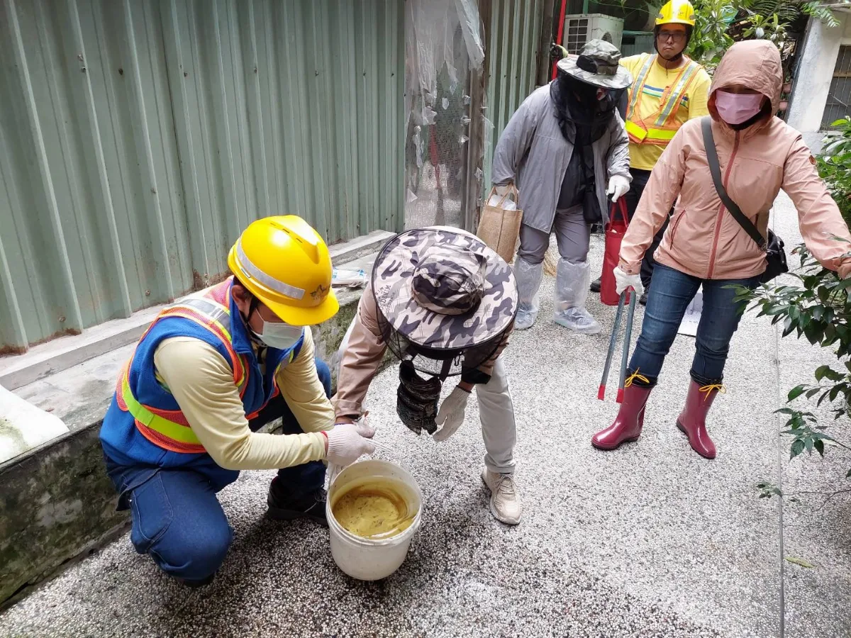 梅雨季將至慎防登革熱 北市籲清除病媒蚊孳生源