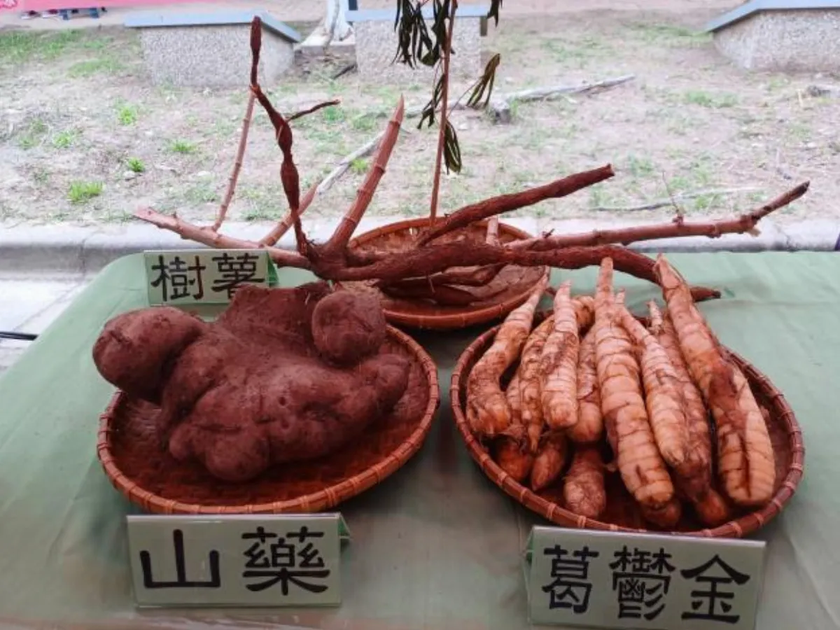 左鎮白堊節熱鬧登場  「山薯蕉合」深耕食農教育