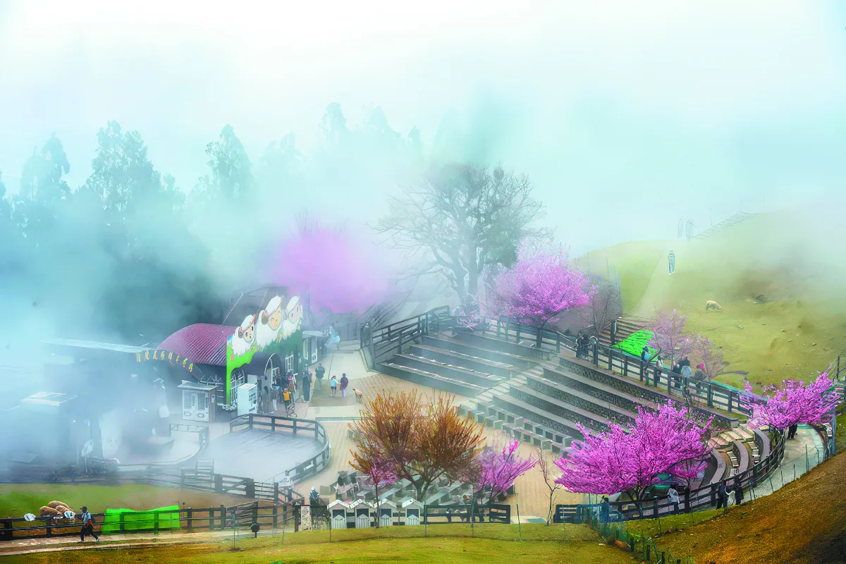 【紀實攝影】三山農場 花之旅