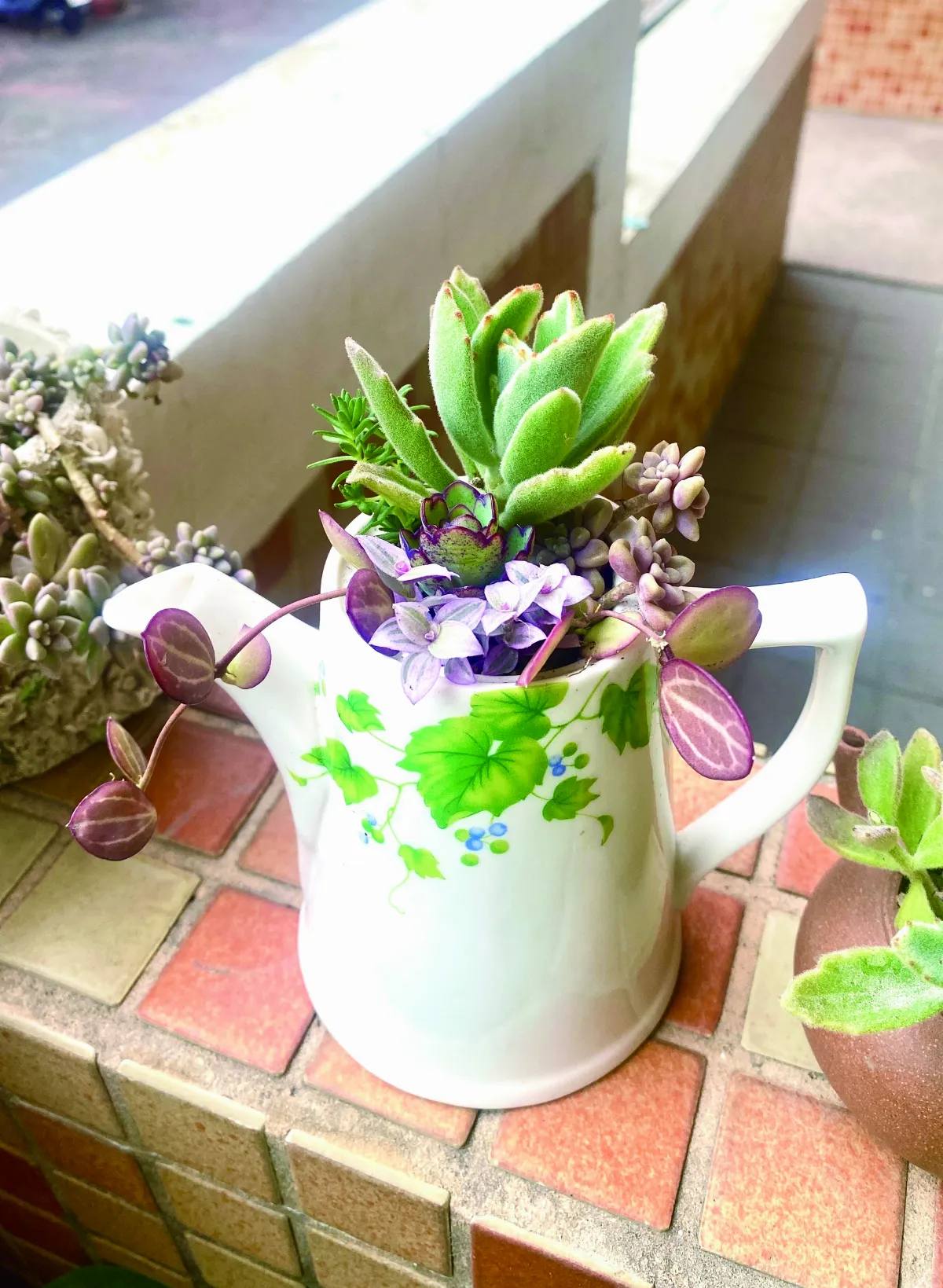 【分享時刻】花茶壺的新生