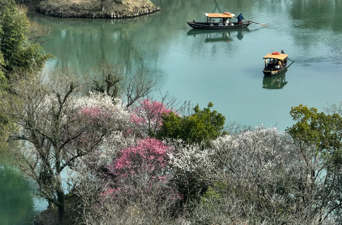 西溪，且聽春語 