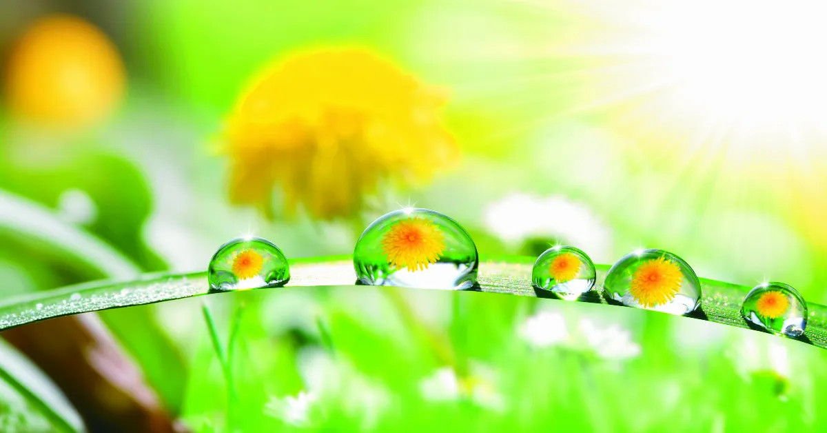 星雲大師全集【講演集】有情與心識—工作與身心的和諧 6-6