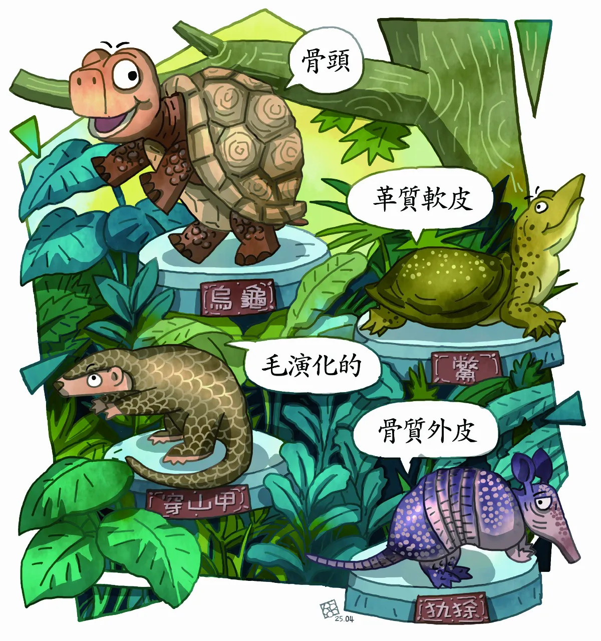 龜殼 小知識大學問