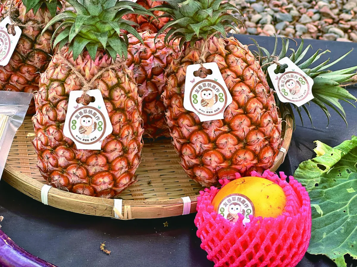 友善標章  保護草鴞