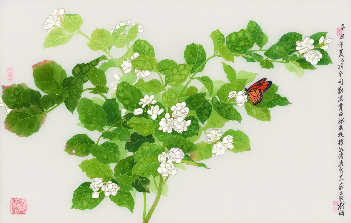 【此情此景】茉莉花
