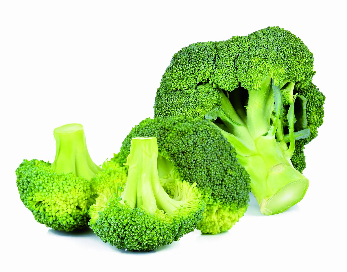 綜合彩虹舒食 開胃又營養