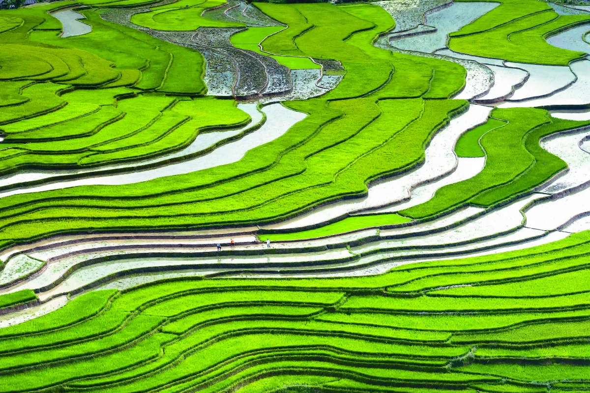 星雲大師全集【講演集】緣起與還滅─從人的過去、現在到未來 4-1