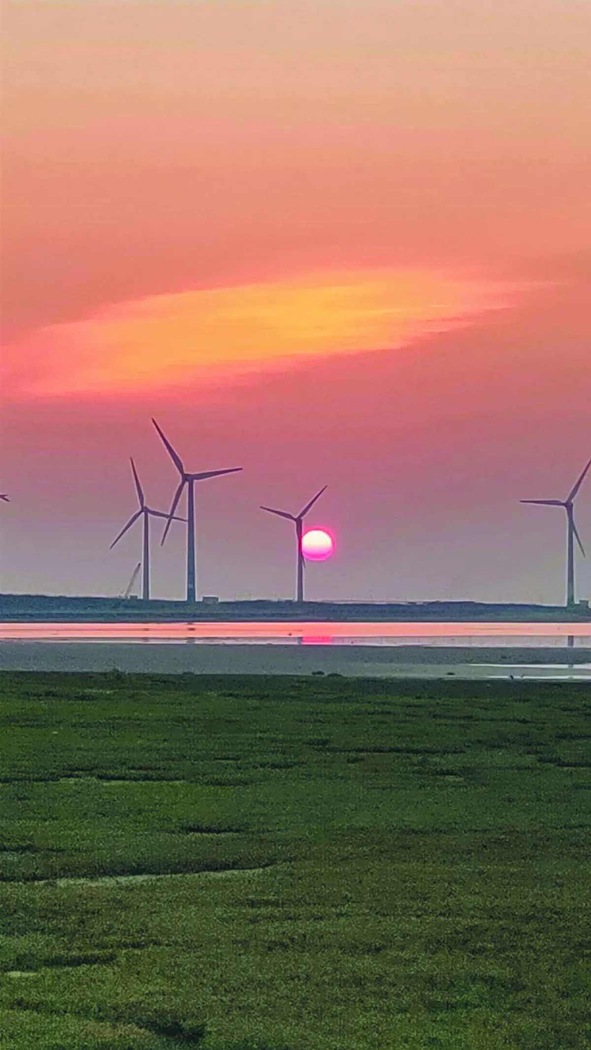 高美溼地露營場整修