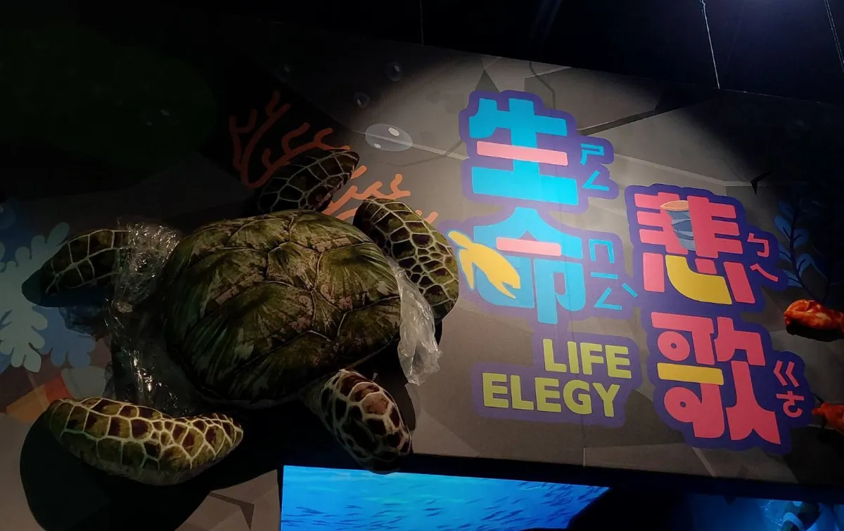 守護地球 展開一趟塑膠垃圾與海洋生命的旅程