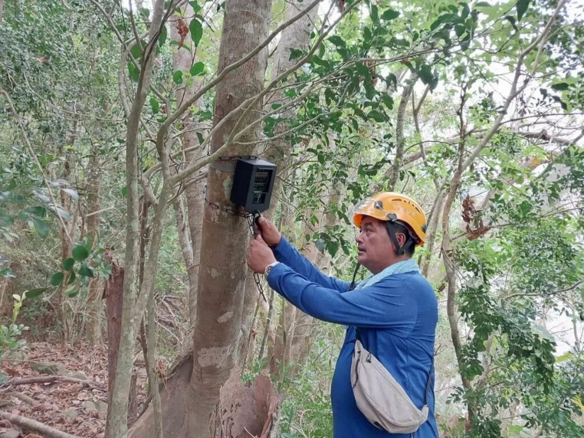台東浸水營古道目擊黑熊家族  創最南蹤跡紀錄
