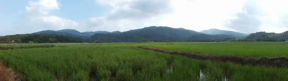 研究：地景異質度愈高 愈能吸引較多種鳥類棲息