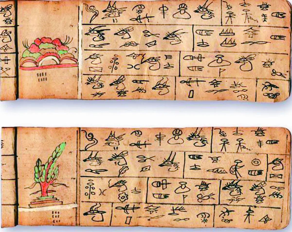 【走進大西南】東巴經與構樹皮紙