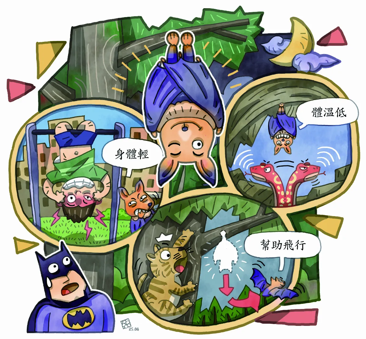 蝙蝠倒掛睡覺有祕密