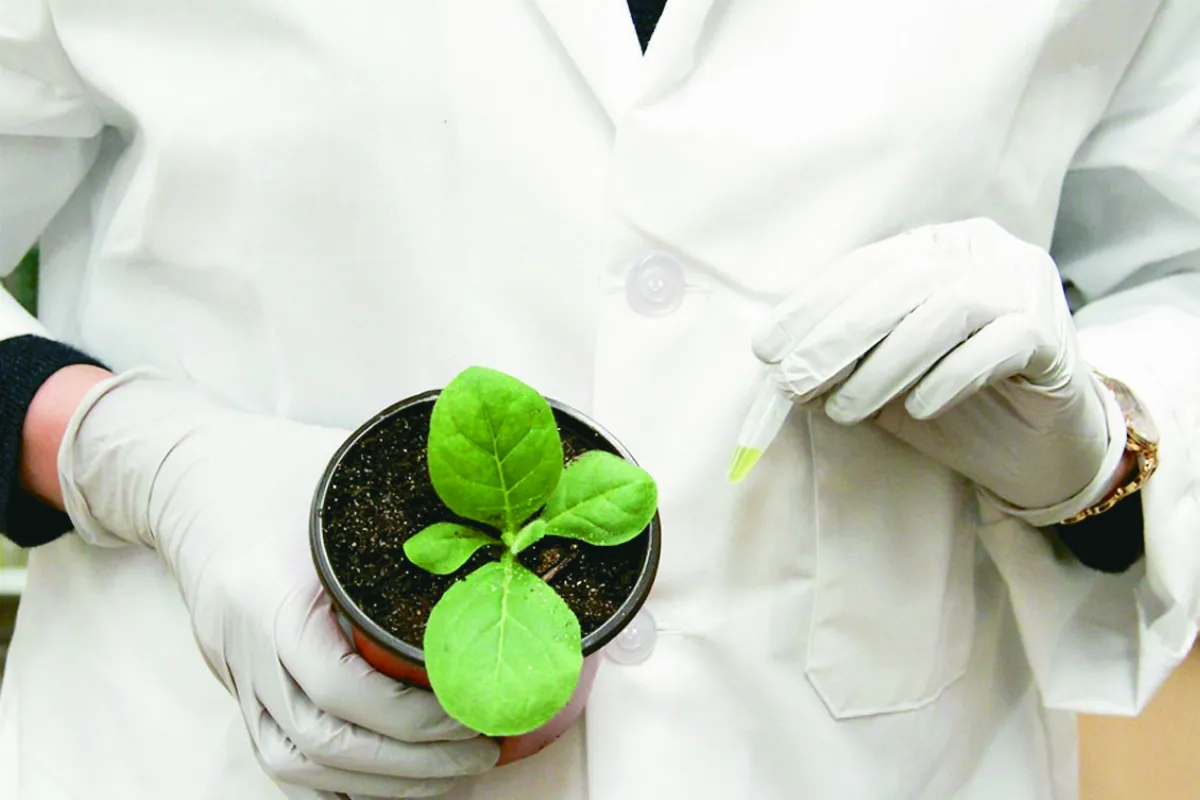 結合高光譜相機 發送遠距信號 基改細菌能感測 確保農作物健康