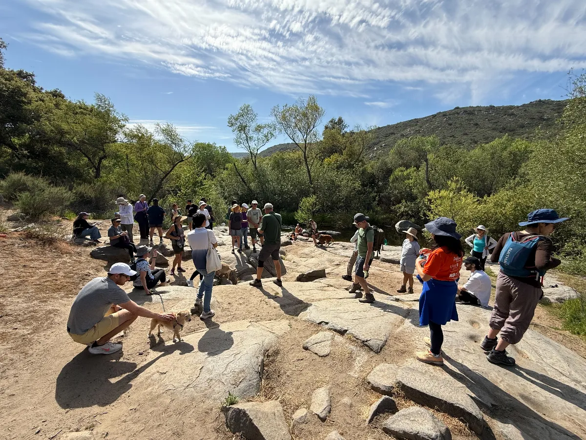 Outdoor Mindful Hike and Meditation Explores Interconnectedness with Nature