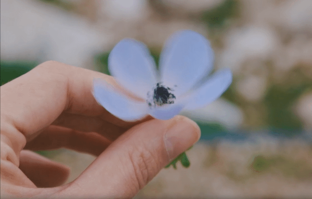 星雲說偈：無求之好