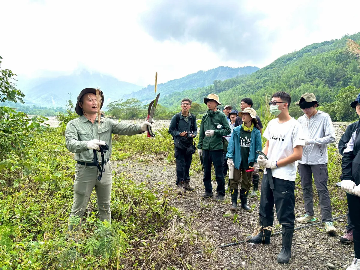守護楠梓仙溪溼地原生物種 協力移除外來植物
