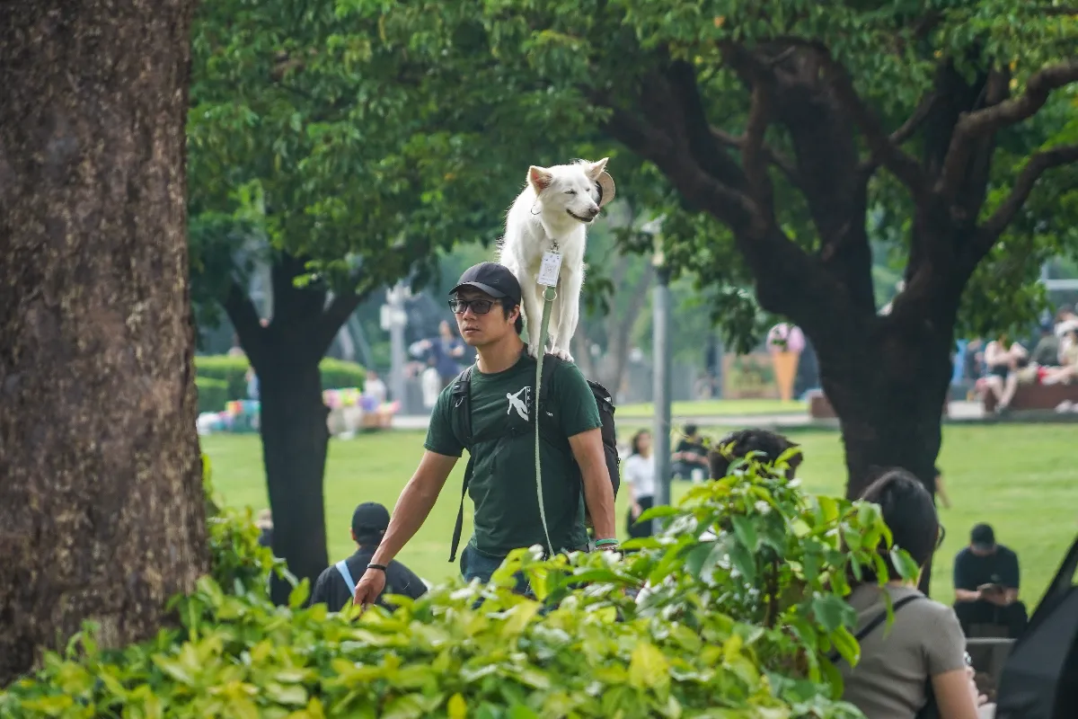 今迎立夏各地多雲到晴 4縣市防高溫 