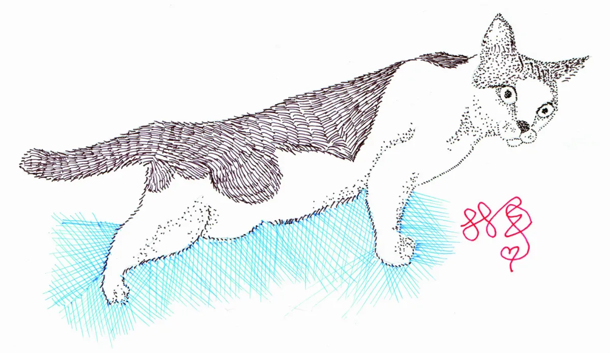 【閃文集】貓咪——就是個鬧鐘