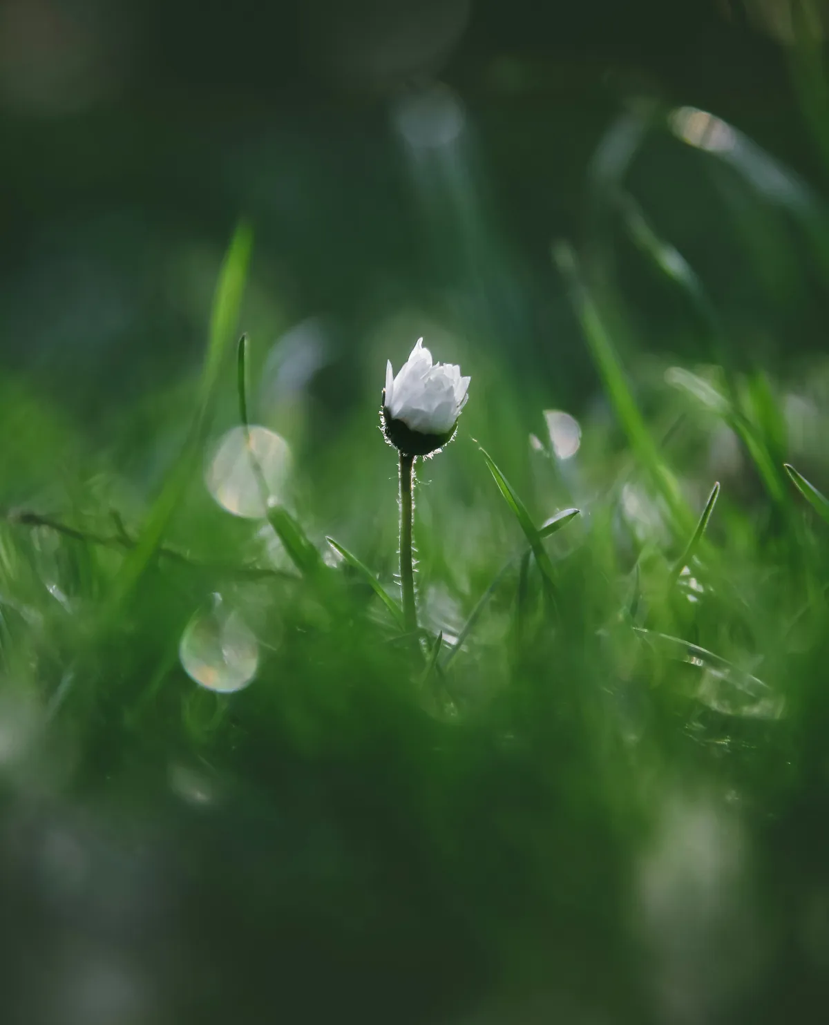 【職場嬉遊記】非營利組織  不能只靠熱情