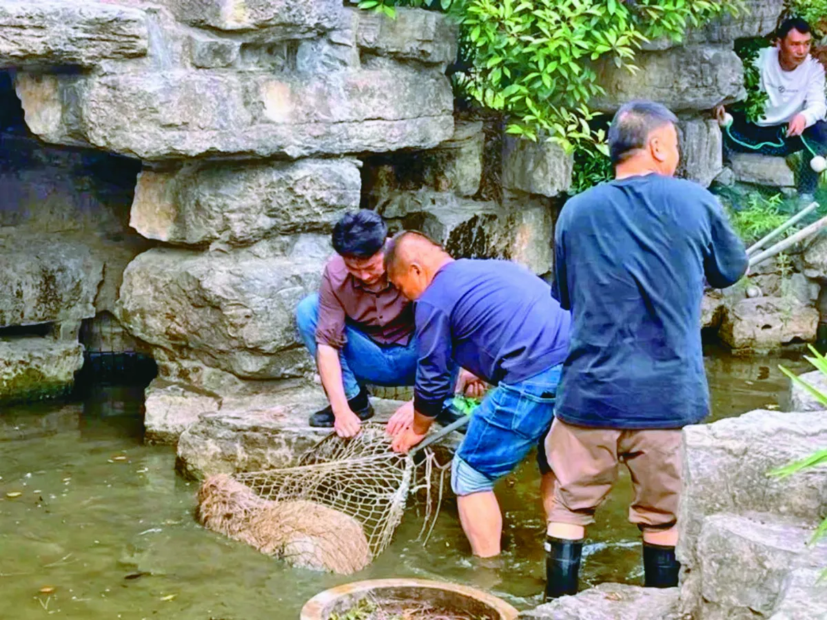 水豚出逃逾40天 動物園發懸賞令
