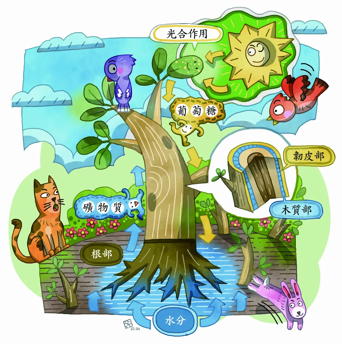 植物體內 運輸奇航  