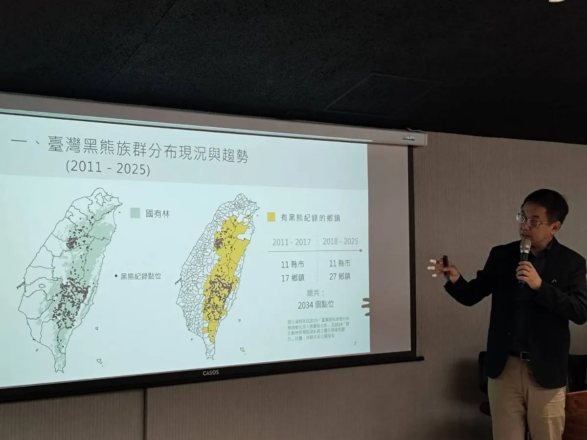 台灣黑熊族群增長 保育首重「人熊和平共處」