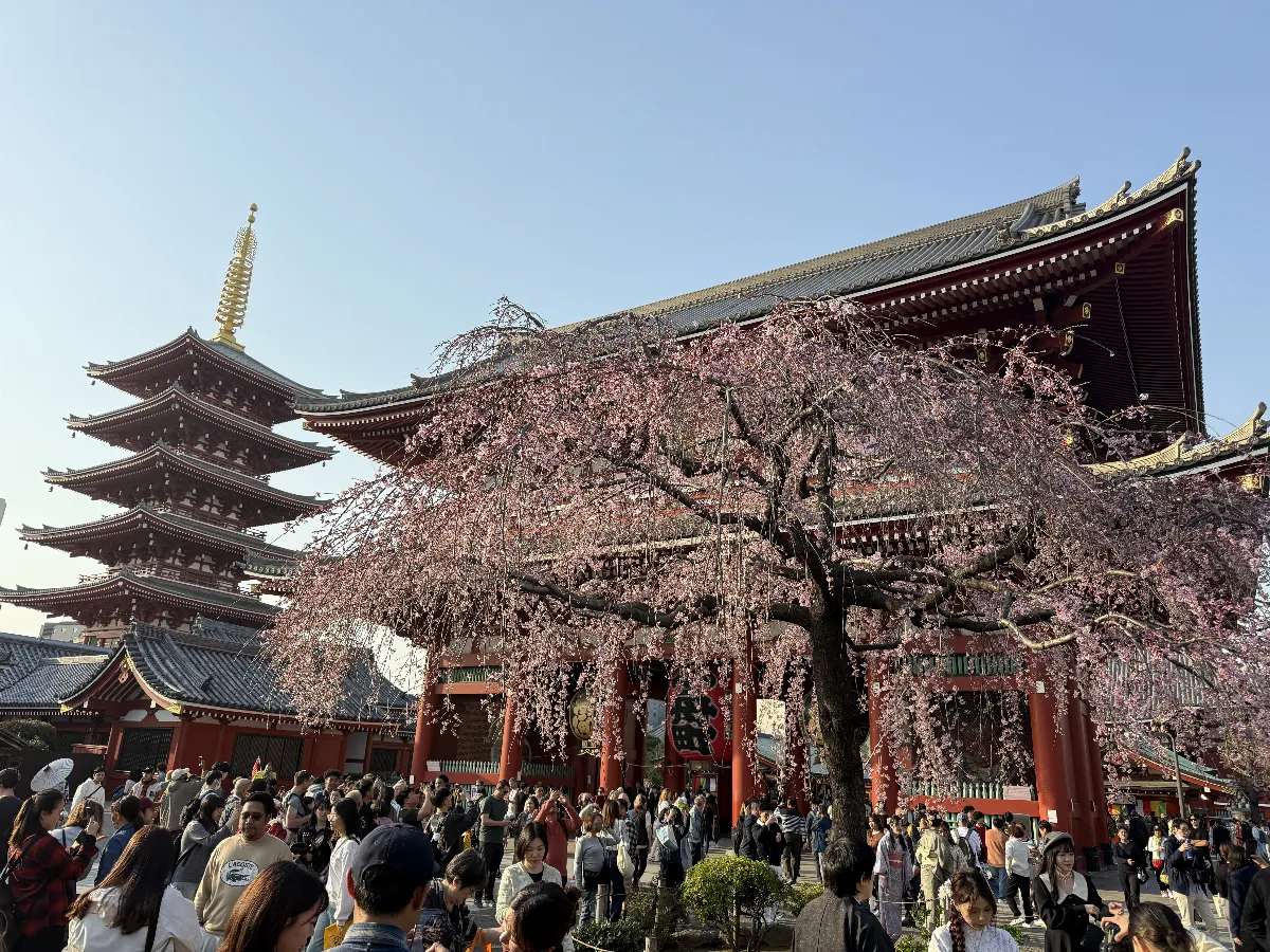 航點增加機位變多 品保協會：暑假旺季日本團費最高降1成