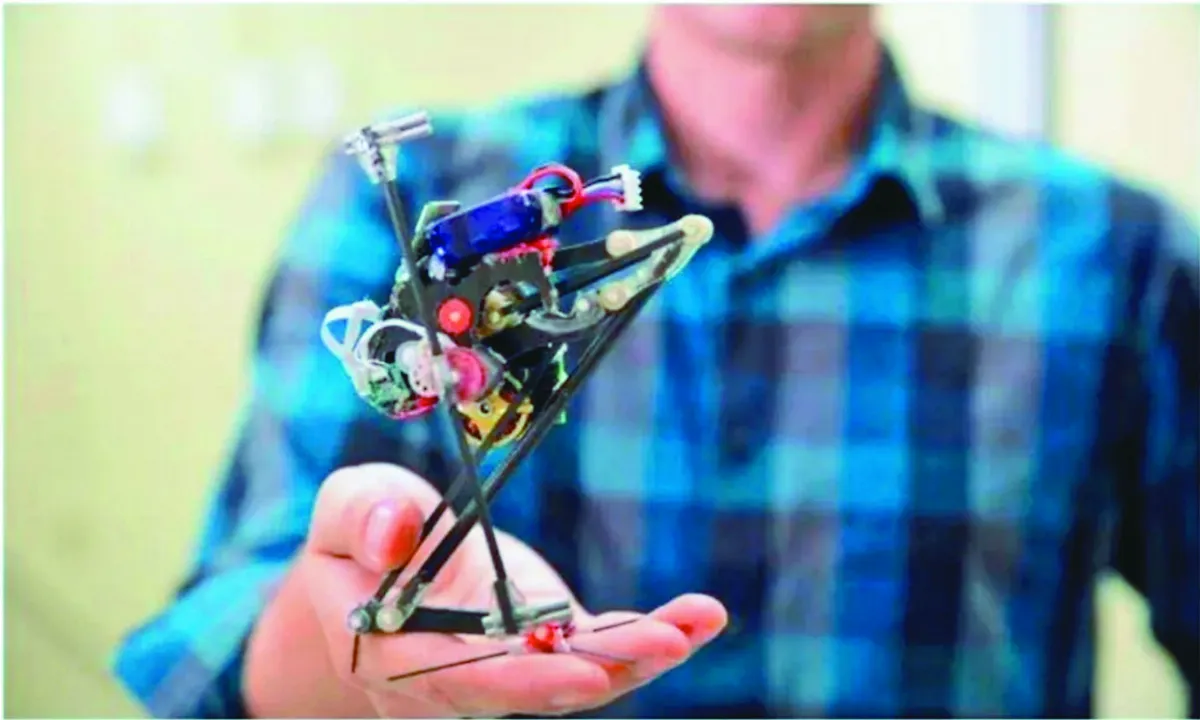 昆蟲機器人 跳躍負重能救災