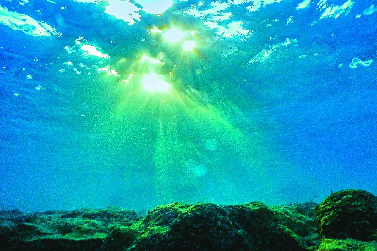 顛覆光合作用定律 深海暗氧真的存在？