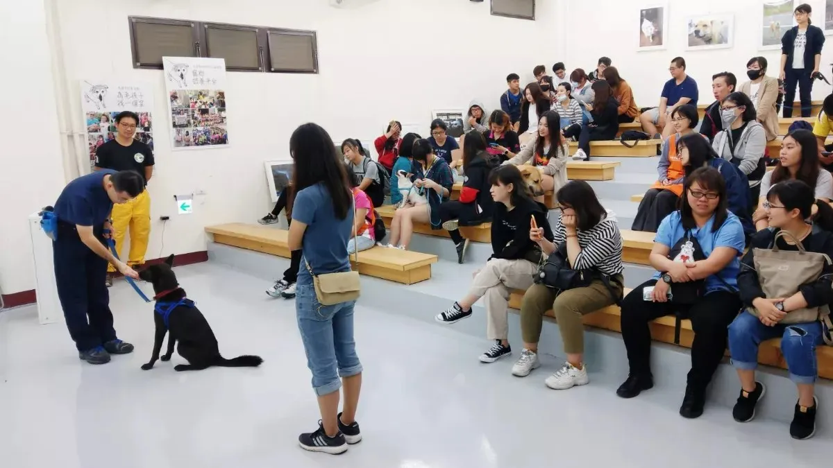 讓毛孩乖巧懂你的心 全方位馬拉松訓犬課來了