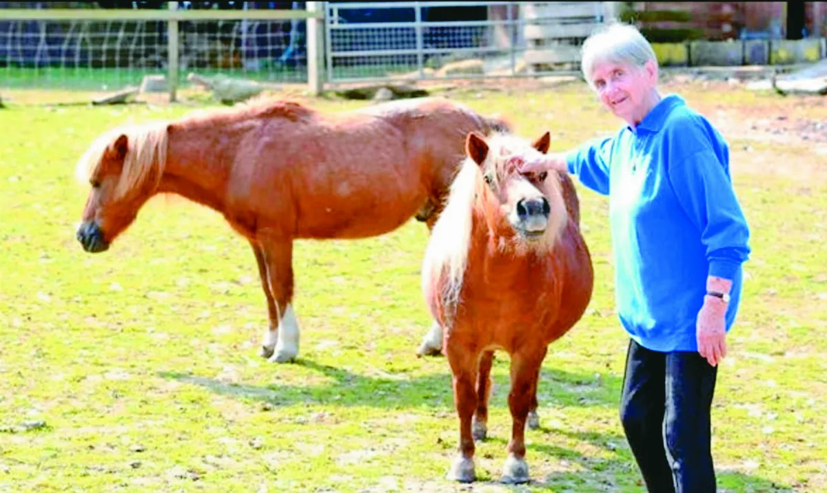 90歲嬤護生 半世紀救逾萬動物
