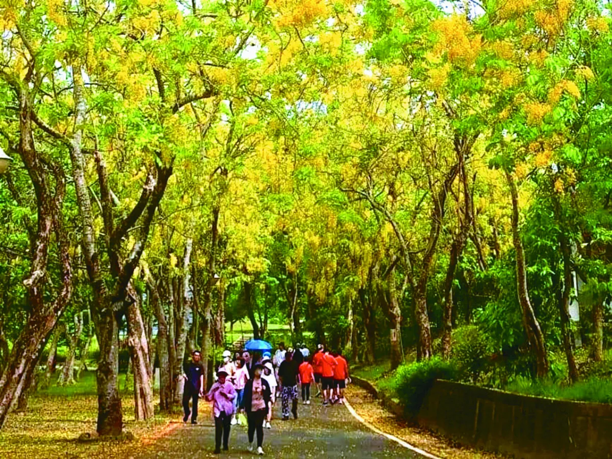 台南超慢跑  賞花拿禮物