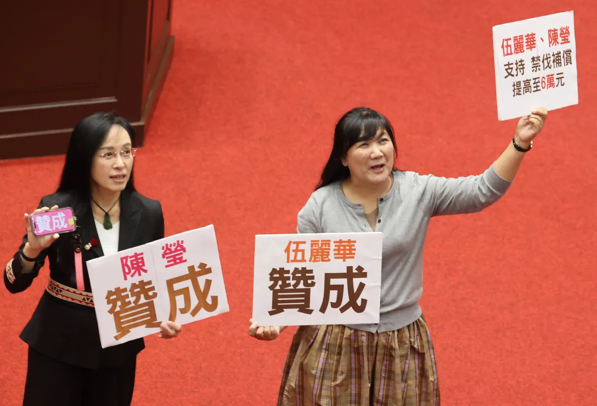罷免立委陳瑩、伍麗華二階未送件 中選會：逾期不受理