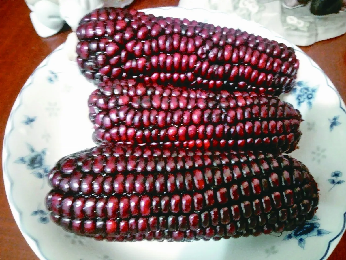 【純植食堂】玉米全身都是寶