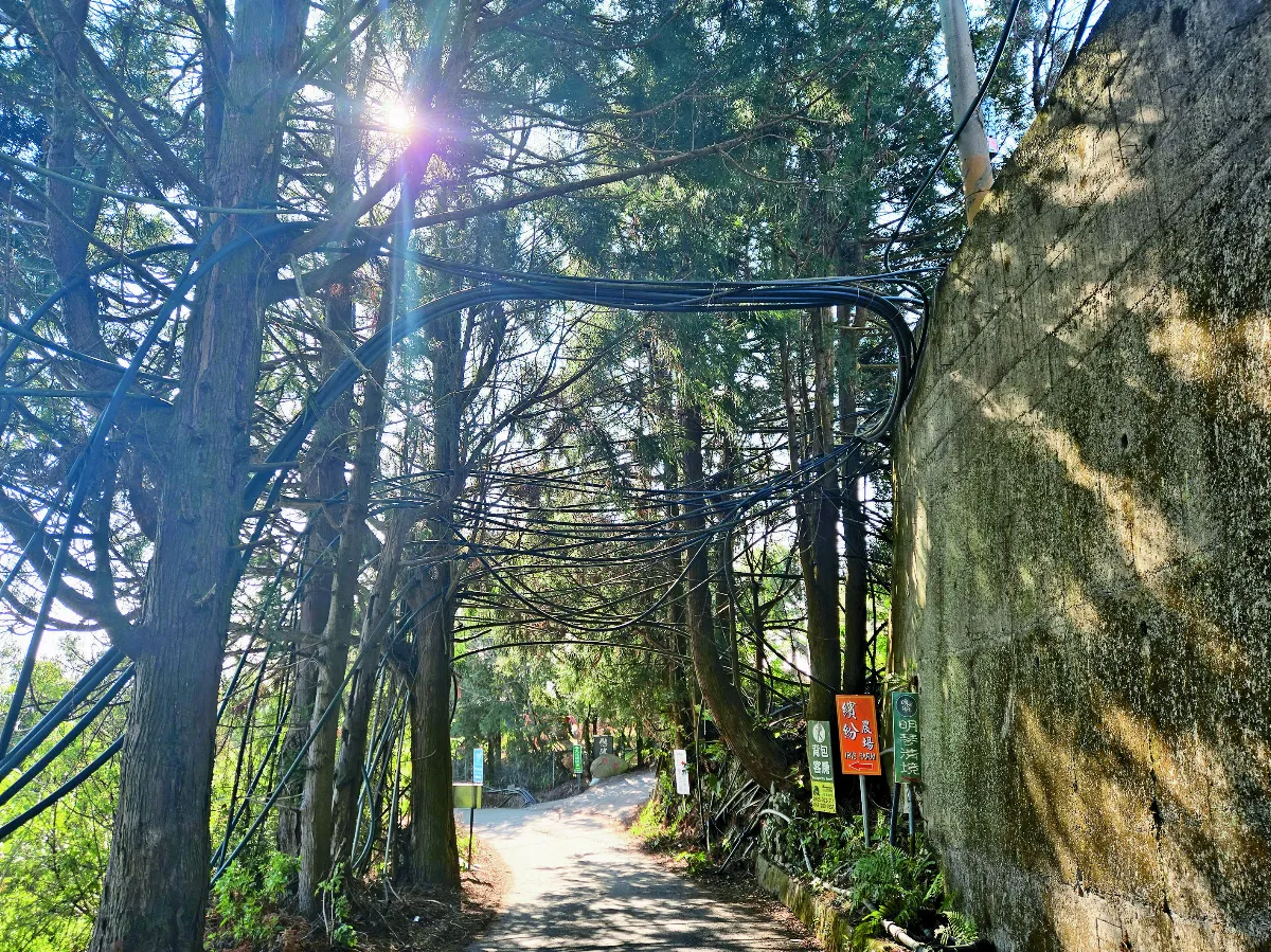 【生活快門】亂中有序