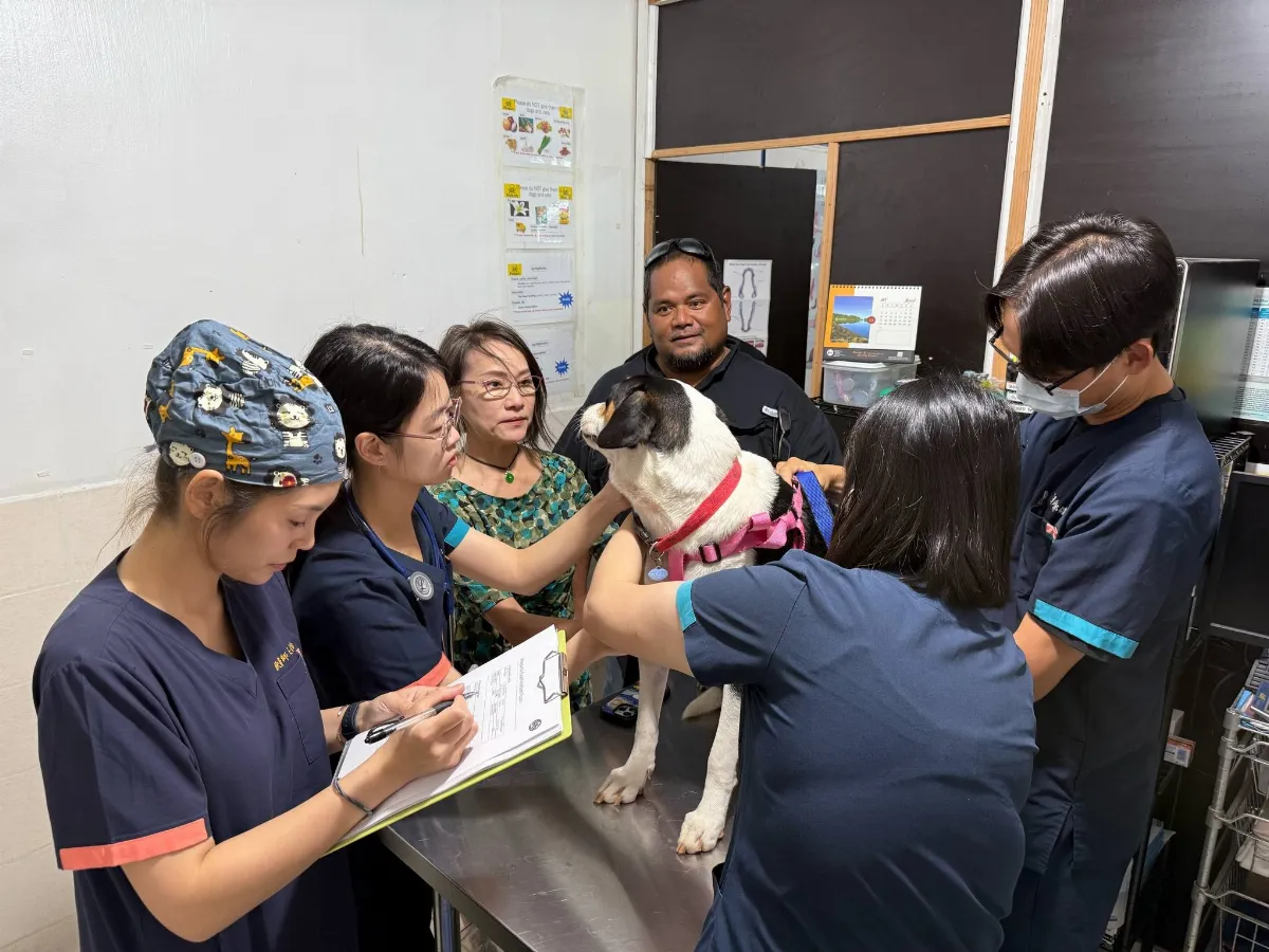 改善流浪動物問題   興大團隊前進帛琉拓展獸醫外交