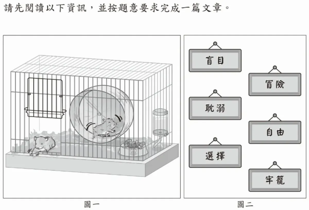 國中會考寫作測驗8成考生達基礎 0級分比例創新低