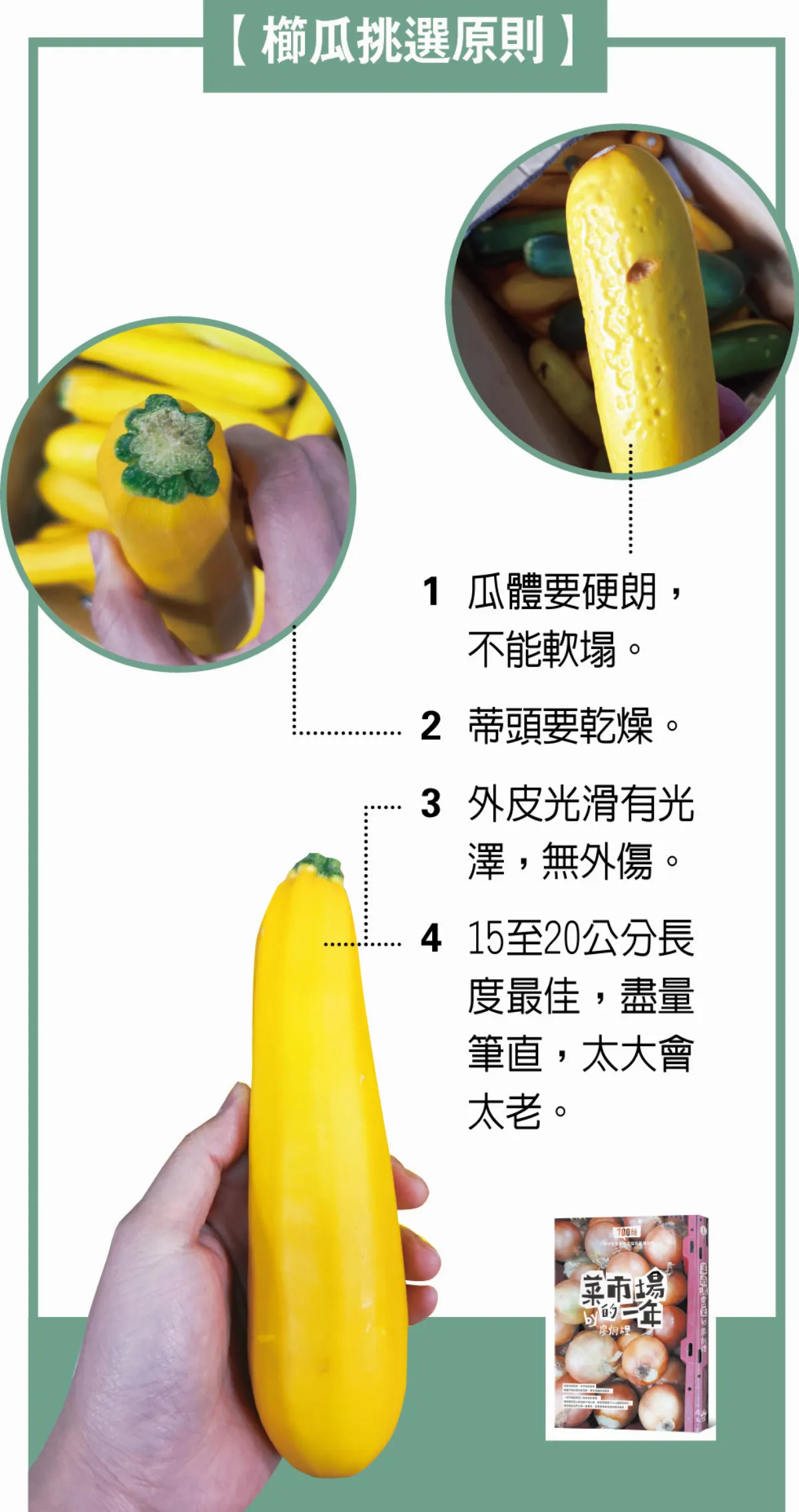 【賣菜郎說菜經】櫛瓜 南瓜家族的瘦子